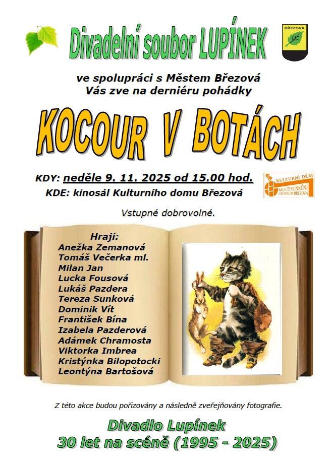 Kocour v botách