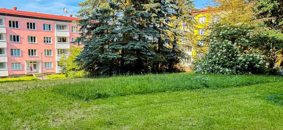 Karlovy Vary:  LLPKV testují mozaikovou seč a spouští formulář pro veřejnost
