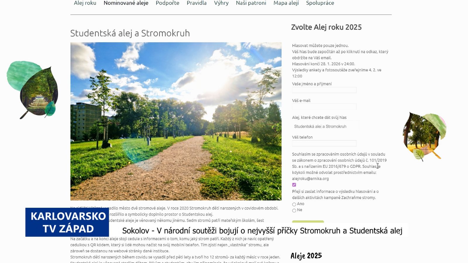 Sokolov: Stromokruh a Studentská alej v soutěži Alej roku (TV Západ)