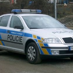 Působil výtržnosti