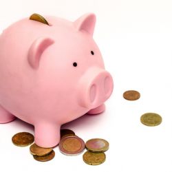 ENERGETICKY ÚSPORNÉ SPOTŘEBIČE JAKO VKLAD DO DOMÁCNOSTI