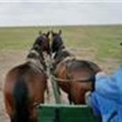 Cheb: Knihovna zve na Léto mezi čabajkou a uherákem