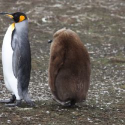 Cheb: Velký kulturní přehled na březen 2017