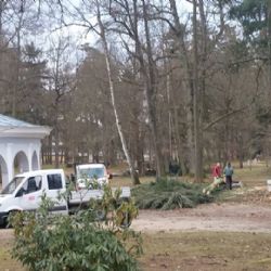 Františkovy Lázně: Pozor na padlé stromy v parcích