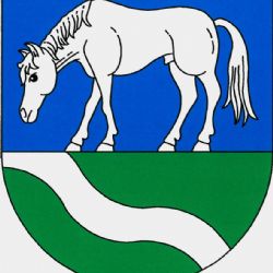 Hranice: Město se pyšní novým znakem a vlajkou