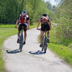 Karlovarsko: Krušnohorská cyklistická magistrála by mohla mít až 100 kilometrů