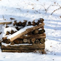 Karlovy Vary: Hodil 7 kilové poleno a zlomil muži čelist a očnici