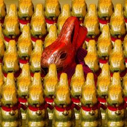 Karlovy Vary: Muž odcizil více jak dvatisíce kusů čokolád