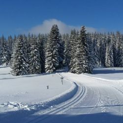 Krušnohorská lyžařská magistrála hlásí skvělé podmínky pro běžkaře