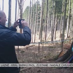 Mariánské Lázně: Král smrků padl (TV Západ)