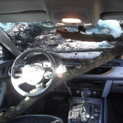 Ostrov: Stalo se. Stručný březnový přehled událostí