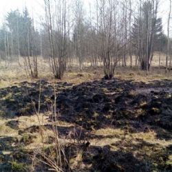 Region: Během necelého měsíce hasiči likvidovali již 21 požárů