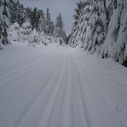 Region: Běžkařské stopy upravují rolby od rána