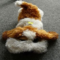 Region: Inspekce varuje před nebezpečnou plyšovou hračkou