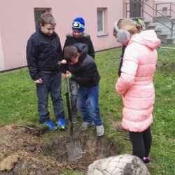 Region: Nadace ČEZ startuje grantová řízení