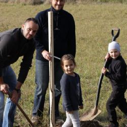 Region: Nadace finančně podpoří podzimní výsadbu stromů. Připojte se