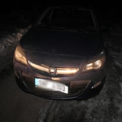 Region: Za víkend osm srážek se zvěří