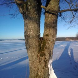 Rovná: Muž nalezl nevybuchlou munici