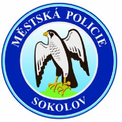 Sokolov: Hledají se brigádníci na hlídání hřišť