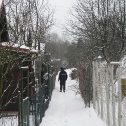 Sokolov: Policisté kontrolovali chaty