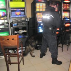 Sokolovsko: Desítky policistů kontrolovaly mladistvé a řidiče