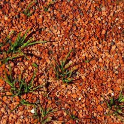 Antuka pro zkrášlení zahrady a parku