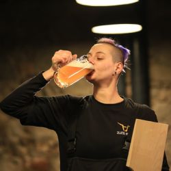 Firemní vánoční večírek s ubytováním vám zajistí hotel U Zeleného stromu v Nepomuku