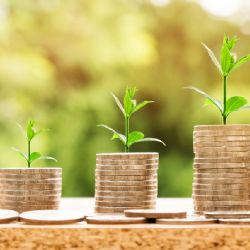 Investování pro začátečníky aneb jak přemýšlet jako úspěšný obchodník