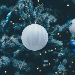 Navštivte chebské vánoční trhy