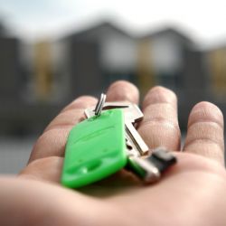 Patrový nebo přízemní dům?