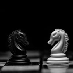 Pět tipů na nové hobby