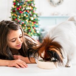 Přinesl vám Ježíšek štěňátko? Poradíme vám, čím ho krmit
