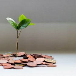 Vydělávání peněz online