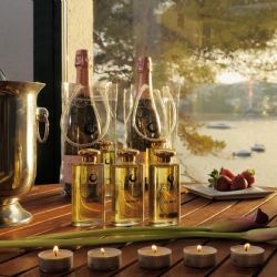 Přírodní kosmetika pro ženy z kmenových buněk vinné révy