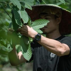 Bali: Ostrov bohů, umění a exotického exportu