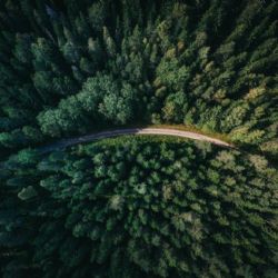 Trendy v lesnictví a jak se odrážejí v ekonomice i návštěvnosti