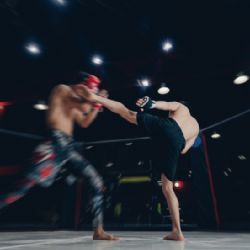 Zaostřeno na téma: Co stojí za úspěchem Clash of the Stars? Tohle jsou 3 hlavní důvody