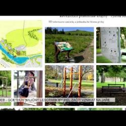 Cheb: Goethův naučný lesopark by měl začít vznikat na jaře (TV Západ)