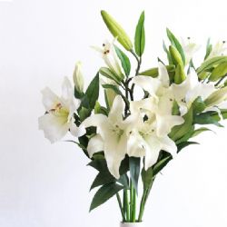 Prodej umělých květin a stromů v Karlových Varech