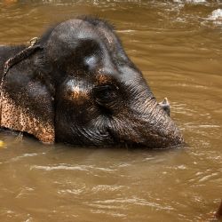 Tváří v tvář obrům