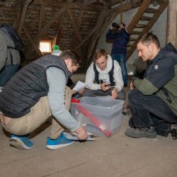 Cheb: Cheb bude hostit tesařské učně, kteří se budou seznamovat s technikou starých řemesel