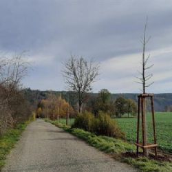 Cheb: Další Mega nápad je dokončen