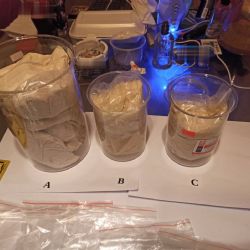 Cheb: Drogový gang dovážející pseudoefedrin rozprášen