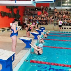 Cheb: Plavání patří mezi dětmi k oblíbenému sportu