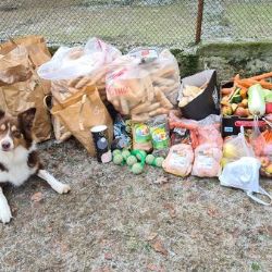 Cheb:  Předvánoční krmení zvířátek