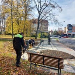 Cheb: Proběhla další akce „Jehla“