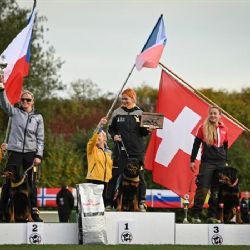 Cheb: Rottweilerka Adele Savalero získala 2. místo na Mistrovství světa rottweilerů