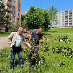 Cheb: S novou zelení se nezapomíná ani na sídliště