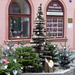 Cheb: Soutěž O nejkrásnější květináč zná vítěze