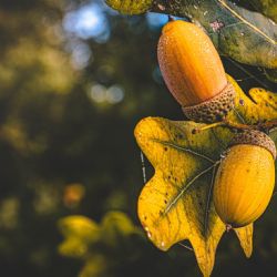 Cheb: Všechno je jednou poprvé – Marek Lučin, nadšený amatérský fotograf, představí svou tvorbu 